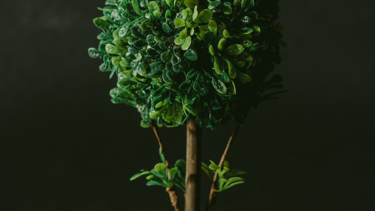 Kewda plant in natural habitat - complete guide