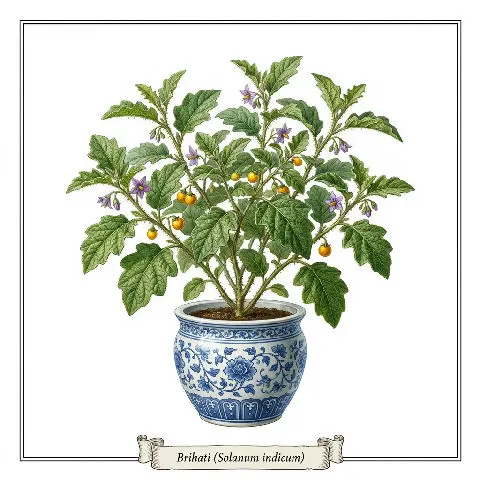 Brihati plant in natural habitat - complete guide